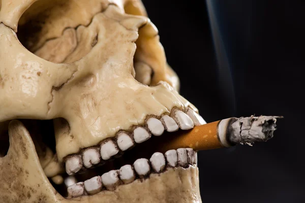 Crânio humano fumando um cigarro — Fotografia de Stock