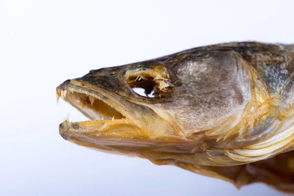 Сушеная рыба Пайк. Сушеная рыба — стоковое фото