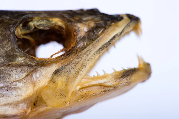 Сушеная рыба Пайк. Сушеная рыба — стоковое фото