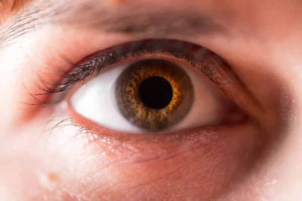 O olho humano. macro — Fotografia de Stock