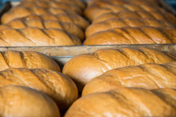 Tray with bread. long loaf