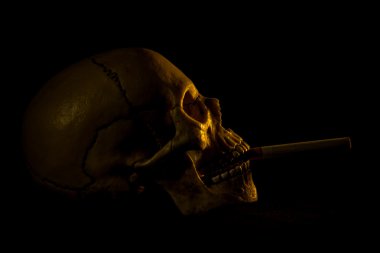İnsan kafatası bir sigara