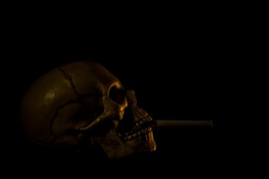 İnsan kafatası bir sigara