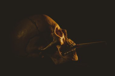 İnsan kafatası bir sigara