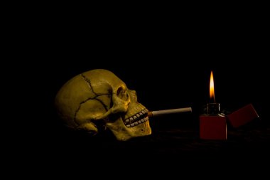 İnsan kafatası bir sigara
