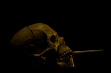 İnsan kafatası bir sigara