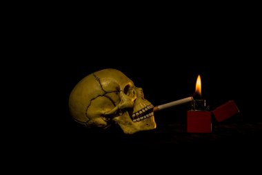 İnsan kafatası bir sigara