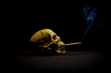 İnsan kafatası bir sigara