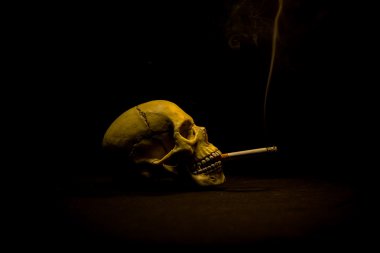 İnsan kafatası bir sigara
