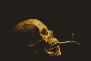 İnsan kafatası bir sigara