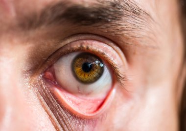 insan gözü. Makro. Hazel eyes