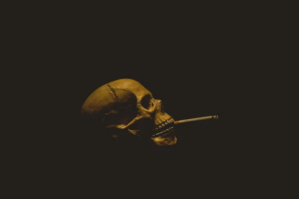 Human skull smoking a cigarette — Stock Photo, Image