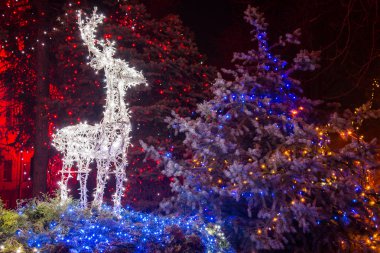 Parlayan geyik. Noel dekorasyon