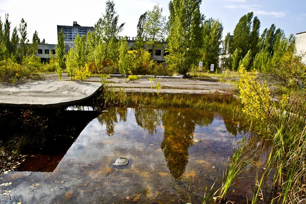 UCRANIA. Zona de exclusión. Chernobyl. Pripyat. - 2012.09.19 . —  Fotos de Stock