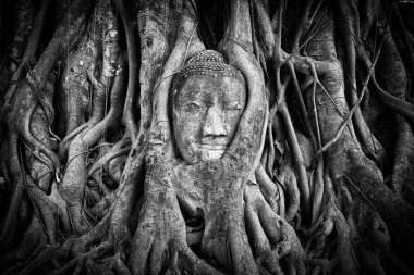 siyah ve beyaz fotoğrafçılık