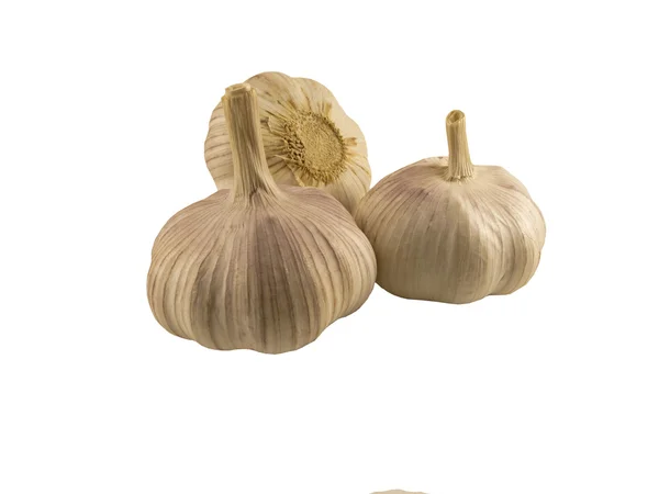 Garlic vegetable — Stock Photo, Image