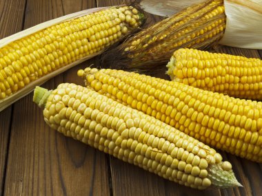 Masanın üzerinde olgunlaşmış Mısır