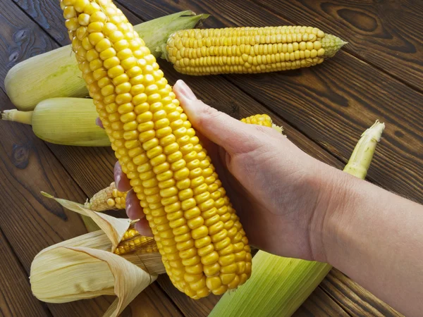Свіжі соковиті кукурудзи — стокове фото