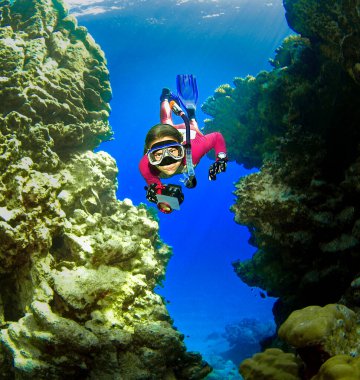 Genç Freediver mercan resifinin bloklarını geçiyor.