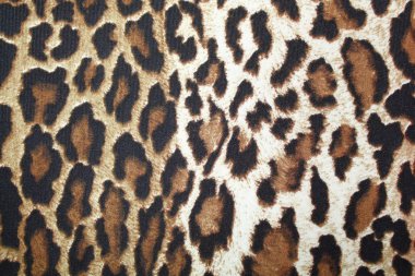 Tekstil leopar