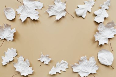 Sonbahar kompozisyonu. Bej arkaplanda beyaz yapraklardan yapılmış bir çerçeve. Sonbahar, sonbahar konsepti. Düz konum, üst görünüm, kopyalama alanı.