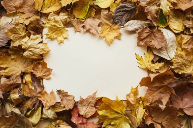 Sonbahar yapraklarından yapılmış yaratıcı bir maket. Sonbahar konsepti. Sonbahar arkaplanı. Düz konum, üst görünüm, kopyalama alanı, düzen