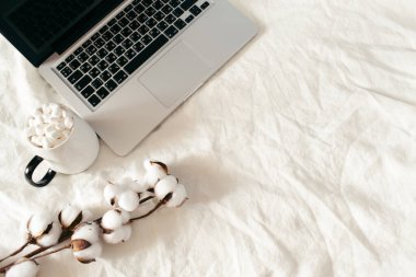Laptop ve bir fincan marşmelovlu kakao, beyaz yatakta pamuk çiçekleri. Ev konseptinde çalış. Sonbahar, sonbahar, kış konsepti. Düz konum, üst görünüm, kopyalama alanı.