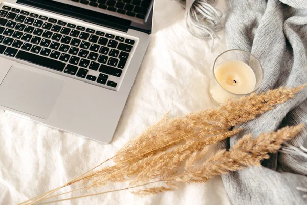 Laptop Canas Bege Agains Pampas Plumen Cachecol Vela Cama Branca — Fotografia de Stock