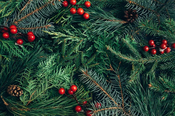 Kreatives Layout Aus Weihnachtsbaumzweigen Und Roten Beeren Weihnachten Winter Natur — Stockfoto