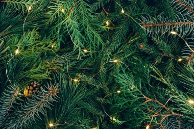 Noel ağacı dalları ve parıldayan noel ışıklarından oluşan yaratıcı bir düzen. Kış doğası yeni yıl konsepti. Düz konum, üst görünüm, kopyalama alanı.