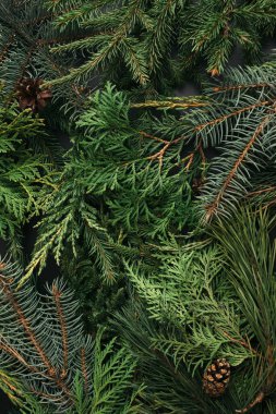Noel ağacı dallarından yapılmış yaratıcı bir düzen. Noel, kış, doğa, yeni yıl konsepti. Düz konum, üst görünüm, kopyalama alanı.