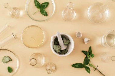 Bej arka planda serum ve yağ bulunan laboratuvar camları. Doğal ilaçlar, kozmetik araştırmalar, biyoloji, organik cilt bakım ürünleri. Düz yatış, üst görünüm.