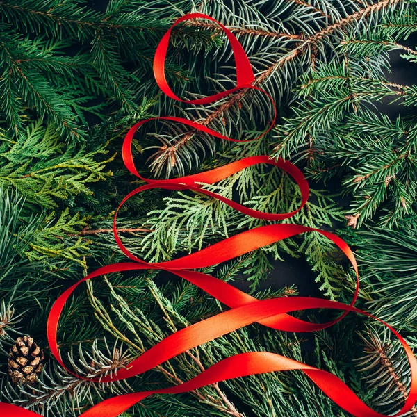 Kreatives Layout Aus Immergrünen Zweigen Und Weihnachtsbaum Aus Roter Schleife — Stockfoto