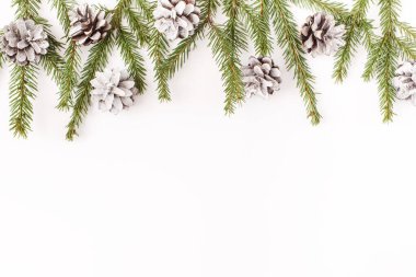 Noel, kış, yeni yıl kompozisyonu. Firavun ağacı dalları, beyaz arka planda köknar konisi. Düz konum, üst görünüm, kopyalama alanı
