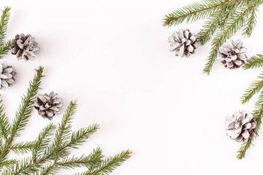 Noel, kış, yeni yıl kompozisyonu. Firavun ağacı dalları, beyaz arka planda köknar konisi. Düz konum, üst görünüm, kopyalama alanı