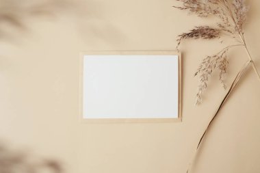Kuru otlaktan, sazlıklardan ve bej arka planda kağıt kartlardan oluşan yaratıcı bir düzen. Asgari, şık, moda konsepti. Düz konum, üst görünüm, kopyalama alanı. Trend rengi 2021
