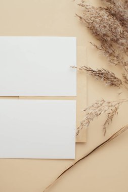 Kuru otlaktan, sazlıklardan ve bej arka planda kağıt kartlardan oluşan yaratıcı bir düzen. Asgari, şık, moda konsepti. Düz konum, üst görünüm, kopyalama alanı. Trend rengi 2021
