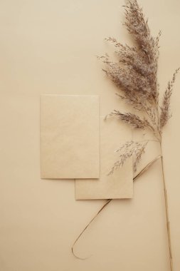 Kuru otlaktan, sazlıklardan ve bej arka planda kağıt kartlardan oluşan yaratıcı bir düzen. Asgari, şık, moda konsepti. Düz konum, üst görünüm, kopyalama alanı. Trend rengi 2021