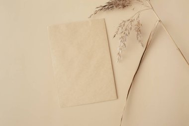 Kuru otlaktan, sazlıklardan ve bej arka planda kağıt kartlardan oluşan yaratıcı bir düzen. Asgari, şık, moda konsepti. Düz konum, üst görünüm, kopyalama alanı. Trend rengi 2021.
