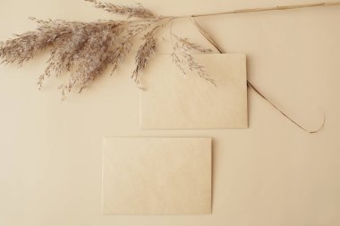 Kuru otlaktan, sazlıklardan ve bej arka planda kağıt kartlardan oluşan yaratıcı bir düzen. Asgari, şık, moda konsepti. Düz konum, üst görünüm, kopyalama alanı. Trend rengi 2021.