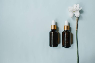 Temel yağ, sebze özü, serum, hyaluronik asit. Kahverengi cam şişe düşürücü. Organik vegan doğal kozmetik konsepti. Düz yerde, üst tarafta. Yüksek kalite fotoğraf