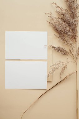 Kuru otlaktan, sazlıklardan ve bej arka planda kağıt kartlardan oluşan yaratıcı bir düzen. Asgari, şık, moda konsepti. Düz konum, üst görünüm, kopyalama alanı. Trend rengi 2021