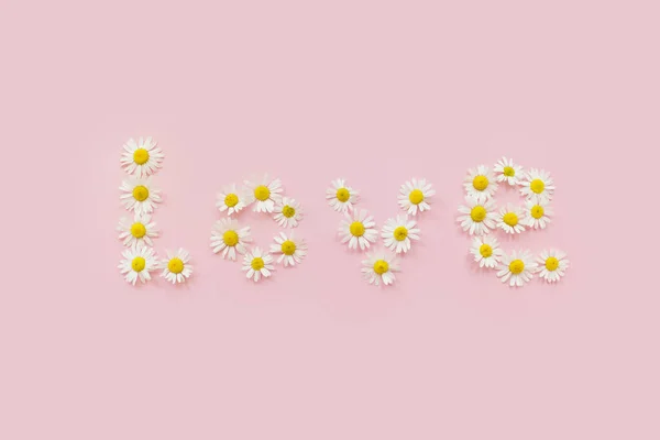Palavra Amor feito de flores camomila sobre fundo rosa. Deitado plano, vista superior. Conceito de primavera, dia de São Valentim. — Fotografia de Stock