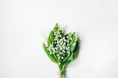 Beyaz arka planda vadideki Lily 'i bırakıyor. Çiçek kompozisyonu. Düz konum, üst görünüm, kopyalama alanı. Bahar, yaz konsepti