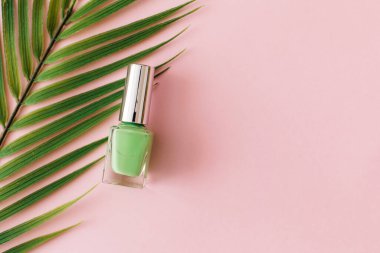 Bir şişe yeşil oje ve pastel pembe arka planda palmiye dalı. Manikür ve pedikür konsepti. Düz konum, üst görünüm, kopyalama alanı.