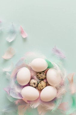 Beyaz Paskalya yumurtaları ve pastel mavi arka planda tüyler. Üst görünüm, düz görünüm, kopyalama alanı.