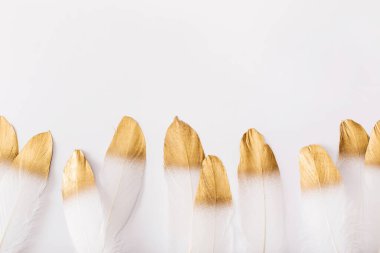 Beyaz arka planda altın parıltılı beyaz tüyler. Düz konum, üst görünüm, kopyalama alanı