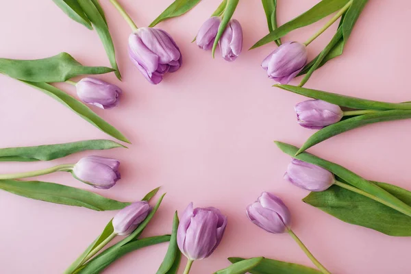 Фиолетовые тюльпаны на розовом фоне. Плоская лежала, вид сверху, копировальное пространство. Состав цветов. Концепция весны. — стоковое фото