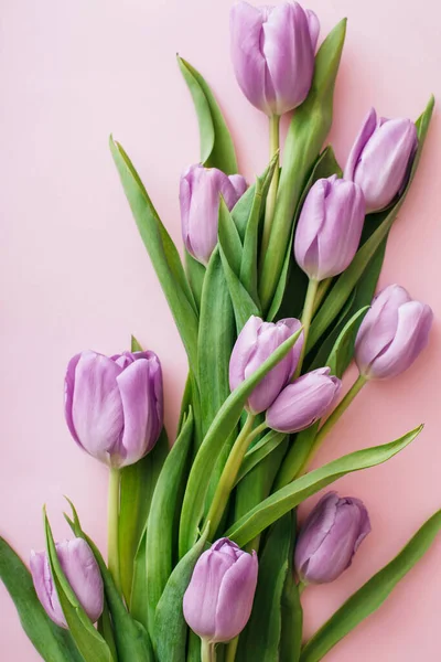 Фиолетовые тюльпаны на розовом фоне. Квартира лежала, вид сверху. Состав цветов. Концепция весны — стоковое фото
