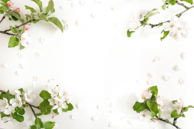 Çiçek kompozisyonu. Beyaz arka planda elma ağacı çiçekleri. Bahar konsepti Düz konum, üst görünüm, kopyalama alanı